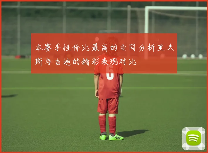 本赛季性价比最高的合同分析里夫斯与吉迪的精彩表现对比
