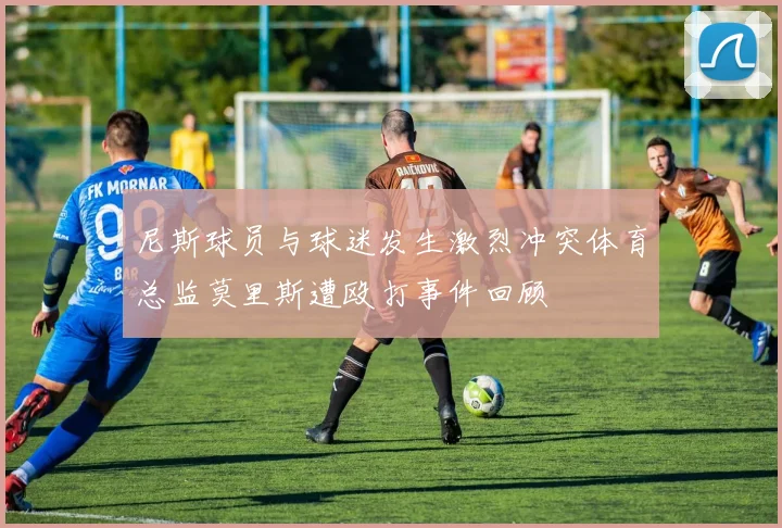 尼斯球员与球迷发生激烈冲突体育总监莫里斯遭殴打事件回顾