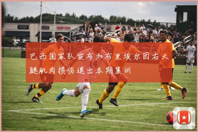 巴西国家队宣布加布里埃尔因右大腿肌肉损伤退出本期集训